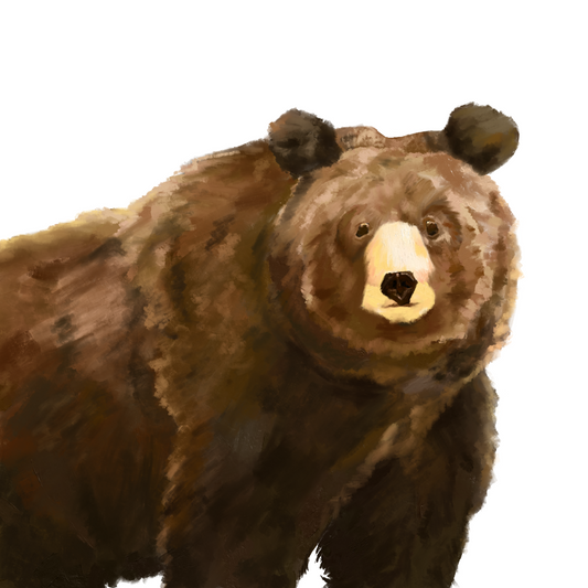 "Guppy Wuppy the Bear" - 5x5 Inch Print