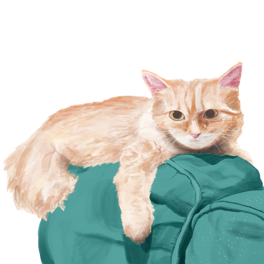 3" Vinyl Sticker - Lily the Cat